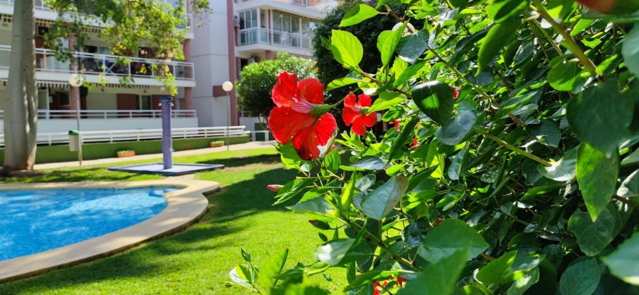 Apartamento Dianium By Denia Costa Esterno foto